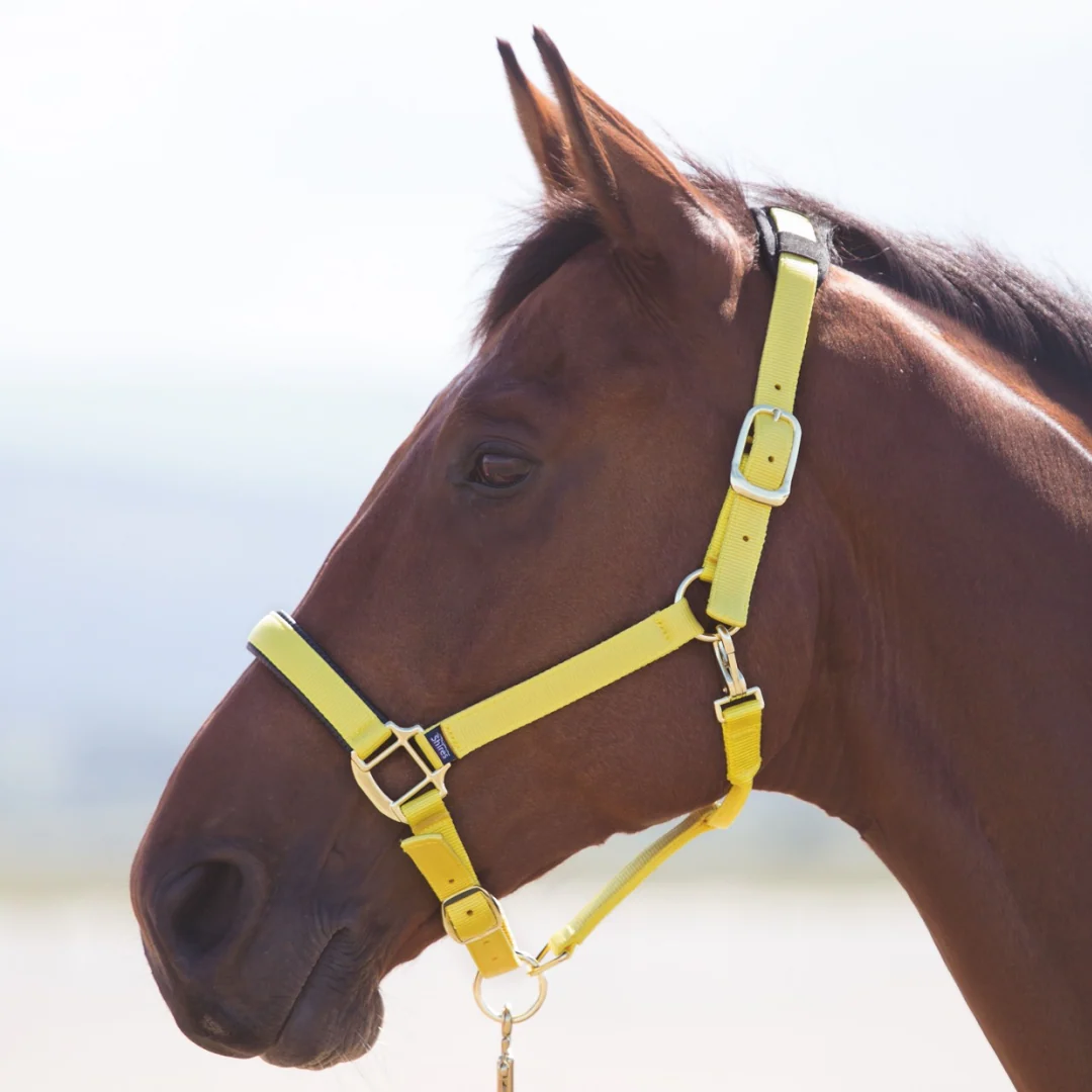 Shires Topaz Nylon Headcollar - Image 10