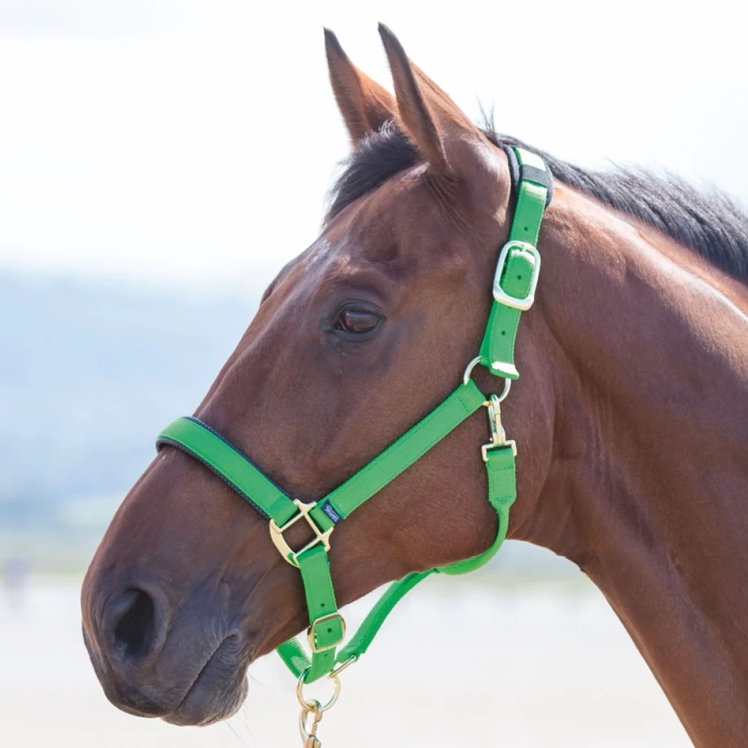 Shires Topaz Nylon Headcollar - Image 3