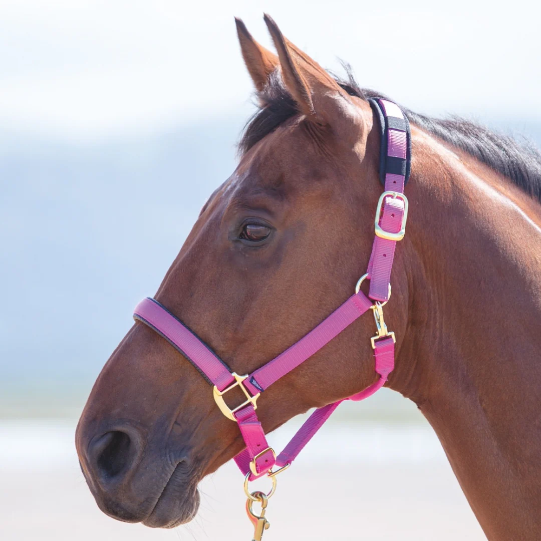 Shires Topaz Nylon Headcollar - Image 9